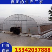 葡萄避雨棚 大棚骨架 新型 蔬菜大棚骨架 鍍鋅管大棚廠家生產