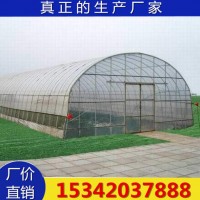 靈芝大棚種植 廠家供應(yīng)靈芝種植塑料溫室大棚骨架專業(yè)設(shè)計安裝