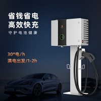 30kW共享直流光伏充電樁EVBox.Solar